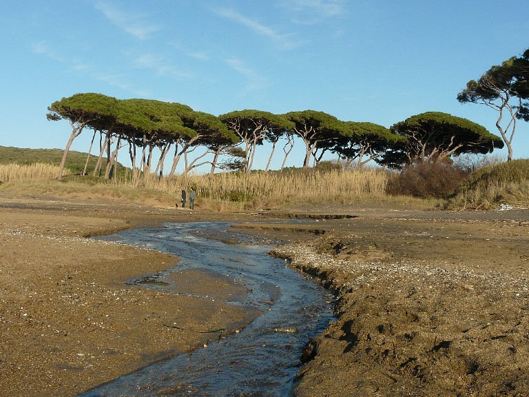 I fossi e lo stagno di Baratti (Piombino - LI)